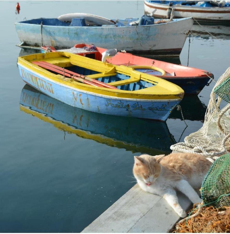 Maridea Apartamento Procida
